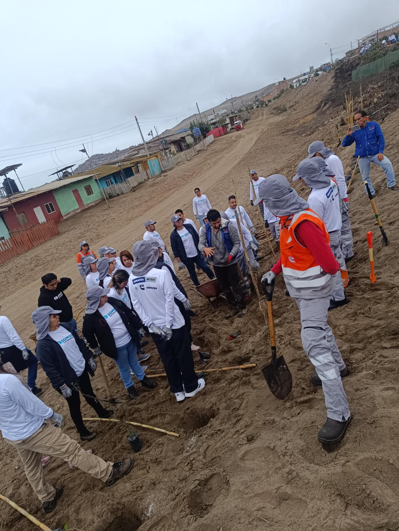 Equipo Cummins en la actividad Sembrando Verde